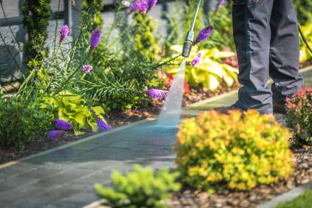 Best Sidewalk and Walkway Cleaning  in Boulevard Gardens, FL