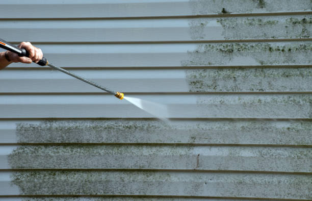 Best Sidewalk and Walkway Cleaning  in Boulevard Gardens, FL
